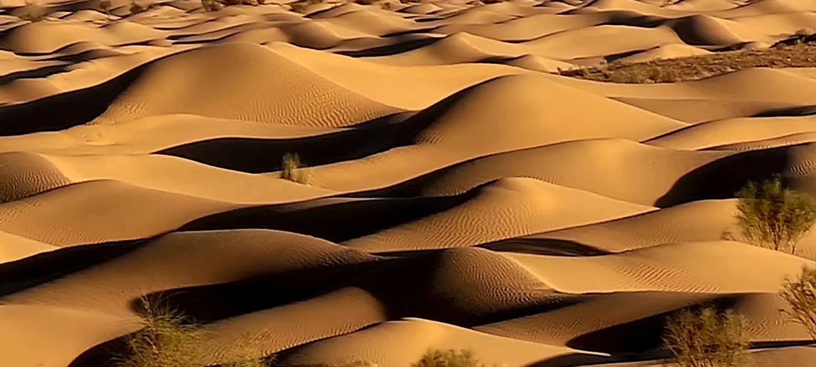 Why Douz Is Called the Gateway to the Sahara