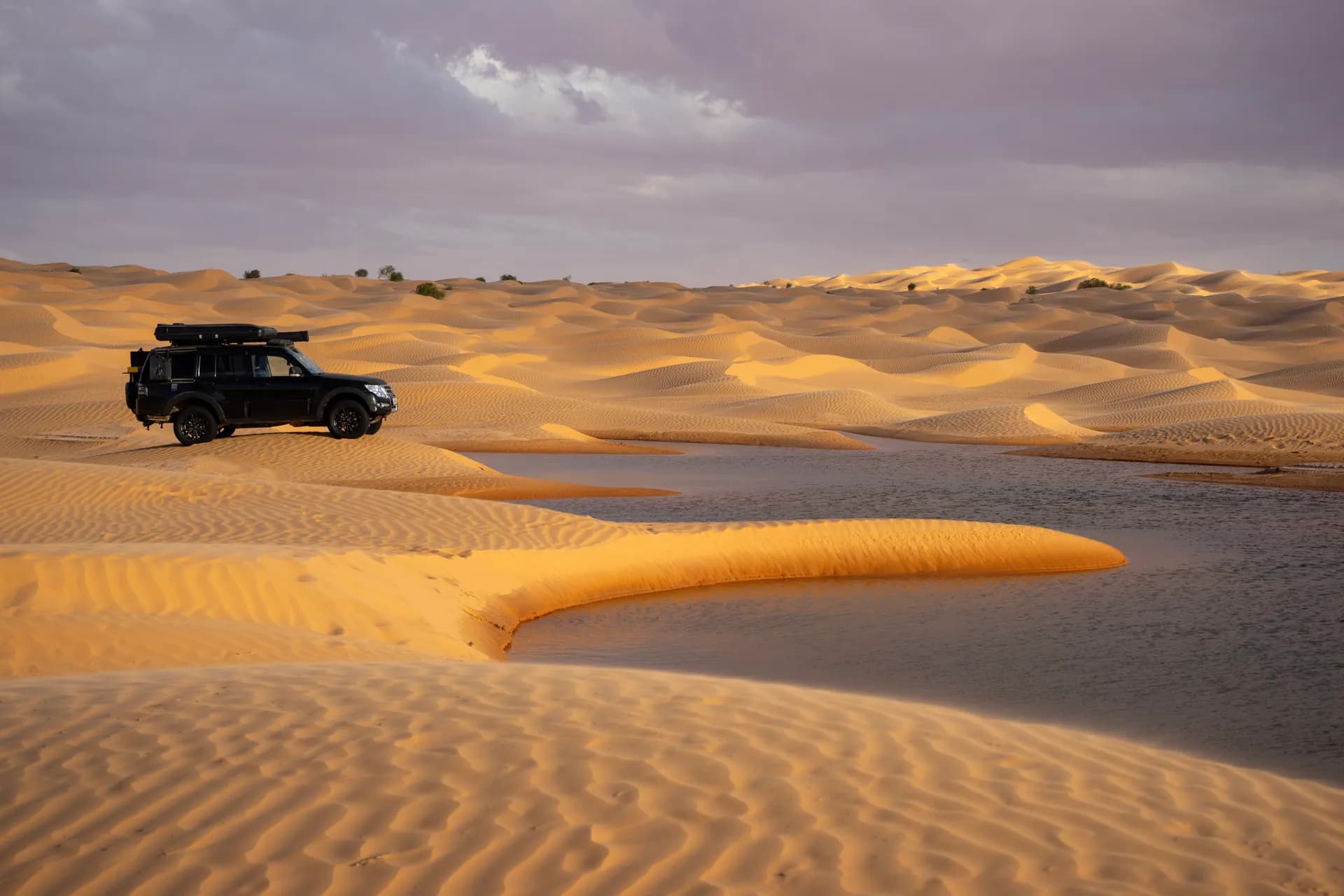 4 X 4 Desert Warrior photo 5