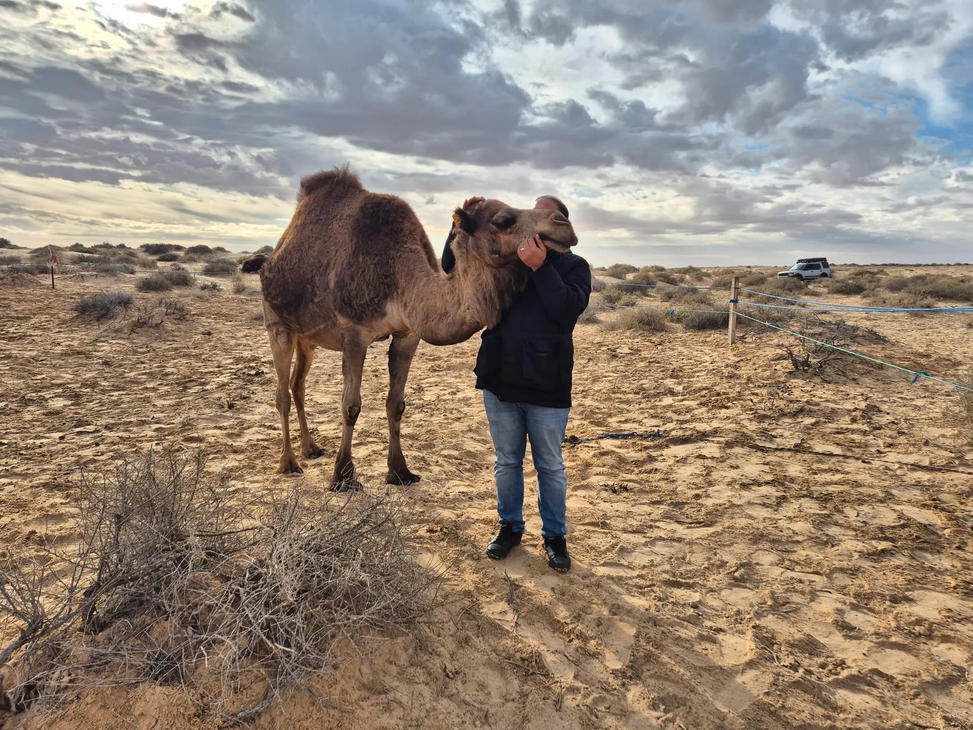 Kamel Trek The Timeless Sahara Trek Experience photo 2